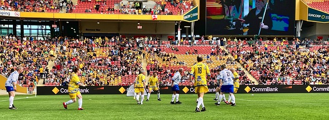 贵的战术参 贵的战术参