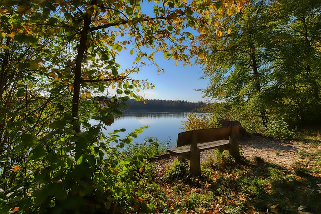 相信湖人队 相信湖人队