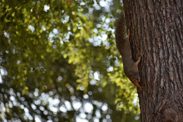 隊的實力 隊的實力