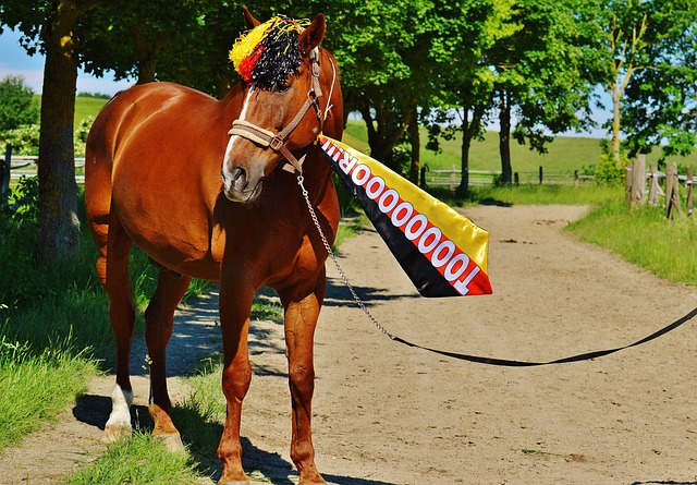 疲劳检测等 疲劳检测等