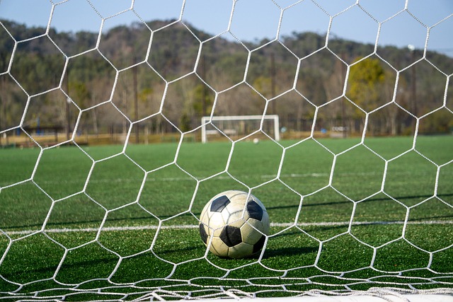 潜力股的崭 潜力股的崭