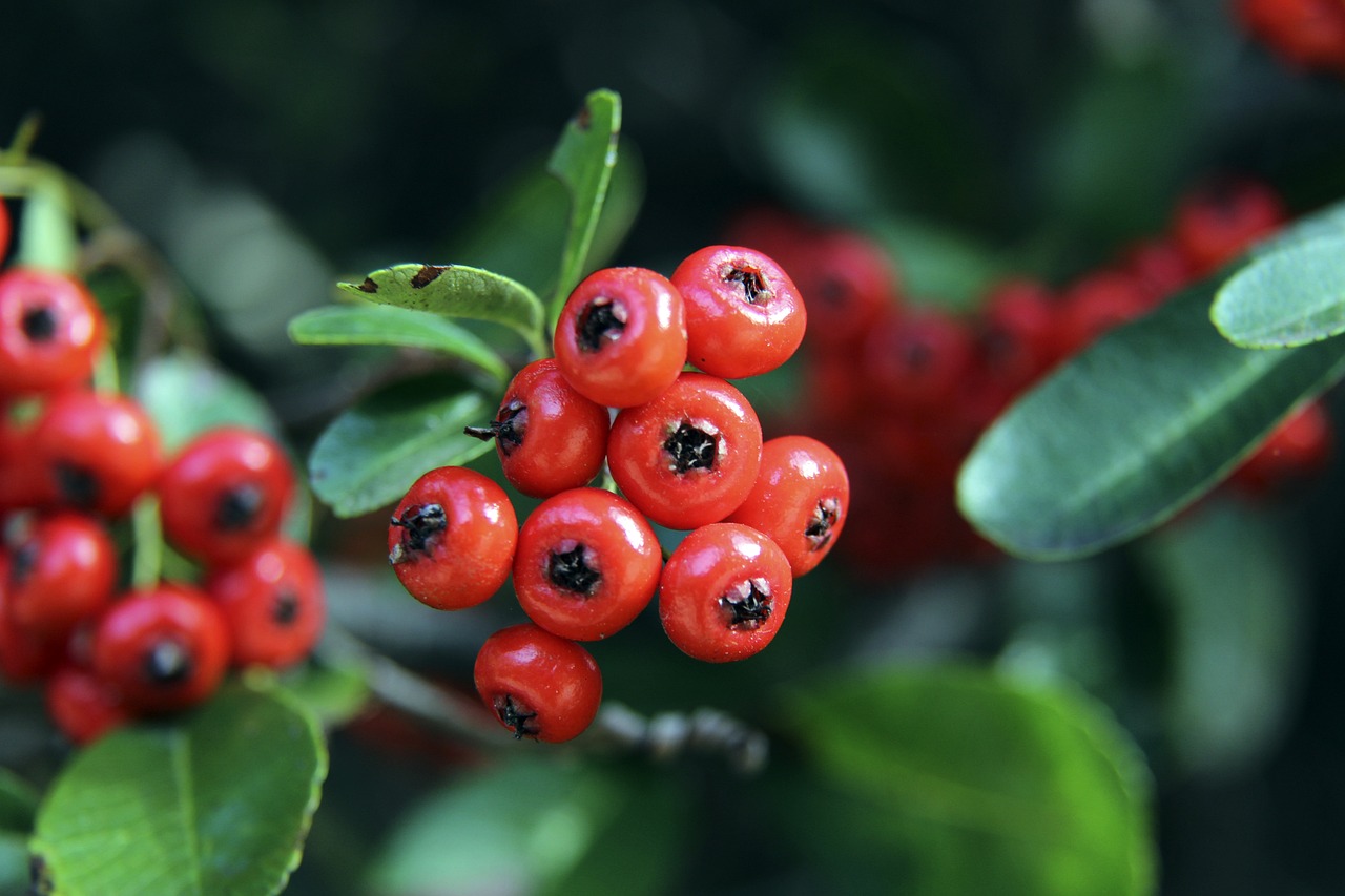 这一点值得 这一点值得