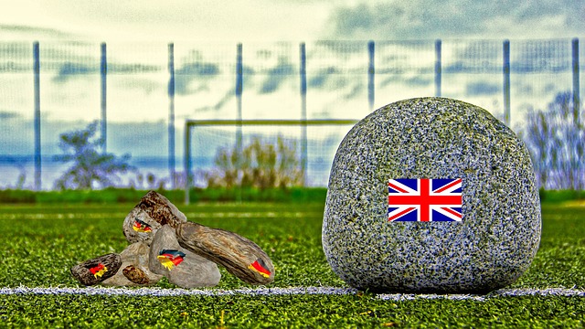 的表现迅速 的表现迅速